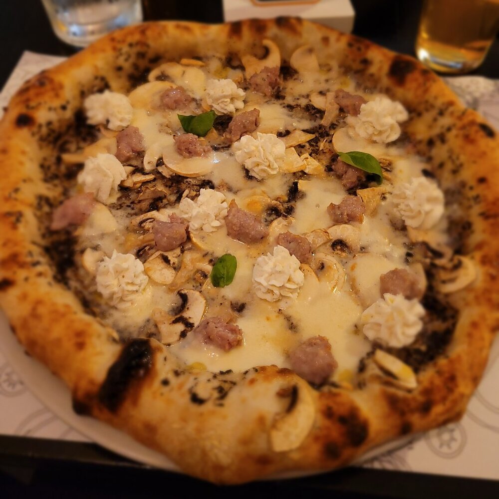 Meet your Posher, Toni and Roni (rigatoni and macaroni).